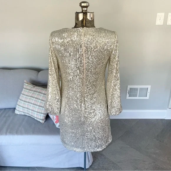 NWT Silver, and cream, Eliza J, double layered sequence dress - Picture 6 of 13